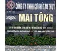 Công ty TNHH cơ khí tàu thủy Mai Tông