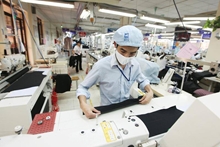 Lao động hợp đồng làm việc dưới 12 tháng có được nghỉ phép