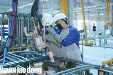 Quyền lợi của người lao động khi đơn phương chấm dứt hợp đồng lao động đúng luật