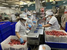 Khuyến khích công nhân phát huy khả năng sáng tạo