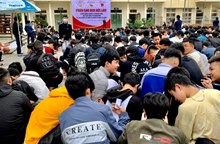Hơn 9 000 cơ hội việc làm cho học sinh, sinh viên và người lao động