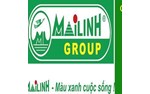 CÔNG TY TNHH ĐẦU TƯ QUỐC TẾ MAI LINH