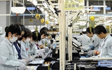 An Giang Mỗi năm đưa ít nhất 300 lao động ra nước ngoài làm việc