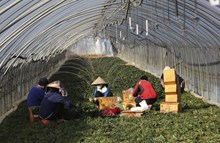 Hồ sơ khai báo đổi visa đối với lao động EPS gồm những gì