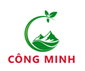 CÔNG TY TNHH CÂY XANH CÔNG MINH - CN AN GIANG