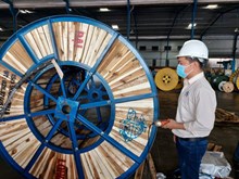 Sáng tạo là lẽ sống