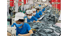 Thu thập thông tin thị trường lao động từ 1 8