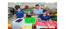 Phụ cấp lương bao gồm những khoản nào