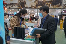 Nhu cầu tuyển dụng nhân lực công nghệ thông tin tăng trong quý 2