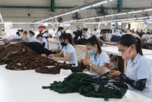 Giải quyết cơn khát việc làm