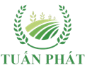 CÔNG TY TNHH TM DV TUẤN PHÁT