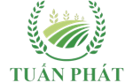 CÔNG TY TNHH TM DV TUẤN PHÁT