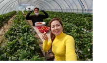 Hàn Quốc gia hạn cư trú với lao động thời vụ lên 8 tháng