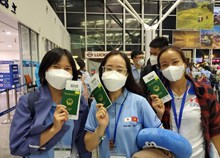 Đề nghị điều tra doanh nghiệp thu phí lao động thời vụ đi Hàn Quốc không đúng quy định