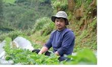 Cảnh báo lừa đảo đưa lao động sang Hàn Quốc làm việc thời vụ