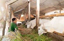 Châu Thành nỗ lực giảm nghèo