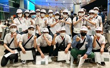 Hy Lạp tìm kiếm lao động Việt Nam trong lĩnh vực nông nghiệp