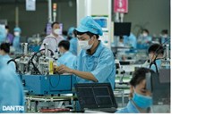 Dành 145 tỷ đồng tiền mặt hỗ trợ lao động mất việc, giảm việc