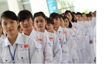 Nghiêm cấm sa thải thực tập sinh mang thai