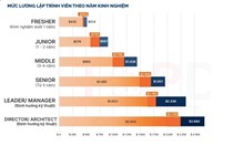 Lương 100 triệu đồng, IT cao giá khi thị trường thiếu 200 000 nhân sự năm