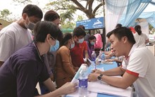 Kết nối thị trường lao động, việc làm