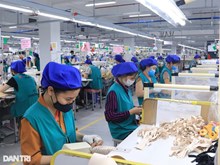 Doanh nghiệp 18 000 lao động dự kiến thưởng Tết 16 triệu đồng người