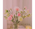 CÔNG TY TNHH GIÁO DỤC SUGAR WAGAYA