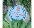 HỢP TÁC XÃ NÔNG NGHIỆP MỸ HÒA HƯNG