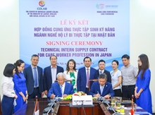 Đi Nhật Bản làm hộ lý, lương 36 triệu đồng tháng