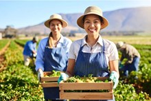 Sốt ruột với chương trình sang Úc làm nông