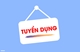 Tuyển dụng lao động làm việc tại Phú Quốc