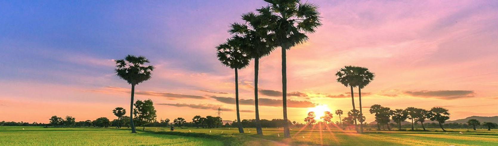 Toàn cảnh Toàn cảnh