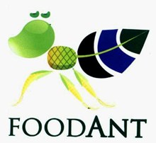 Công ty TNHH Foodant Chế biến rau quả thực phẩm tuyển dụng