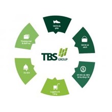 CTCP Thái Bình Kiên Giang thông báo tuyển dụng