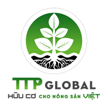 CÔNG TY CỔ PHẦN ĐẦU TƯ TTP GLOBAL TUYỂN DỤNG