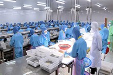 Thông báo tuyển dụng việc làm tại Nhật Bản