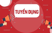 DNTN Hoàng Phát Long Xuyên tuyển dụng