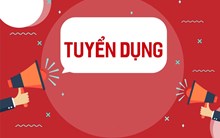 DNTN Hoàng Phát Long Xuyên tuyển dụng