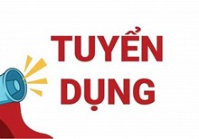 Công Ty TNHH MTV Dịch Vụ Du Lịch Đại Dương Xanh tuyển dụng