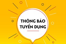 Thông tin tuyển dụng việc làm
